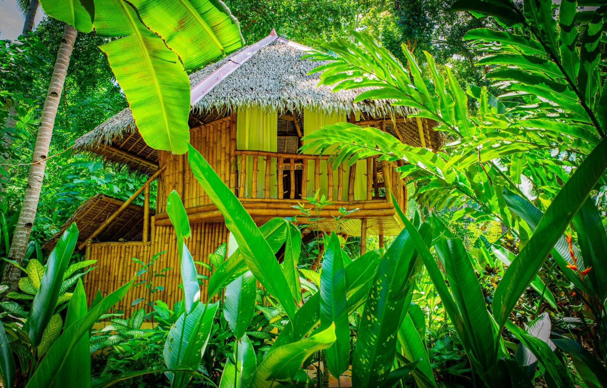 Water To Forest Ecolodge Loboc Ngoại thất bức ảnh