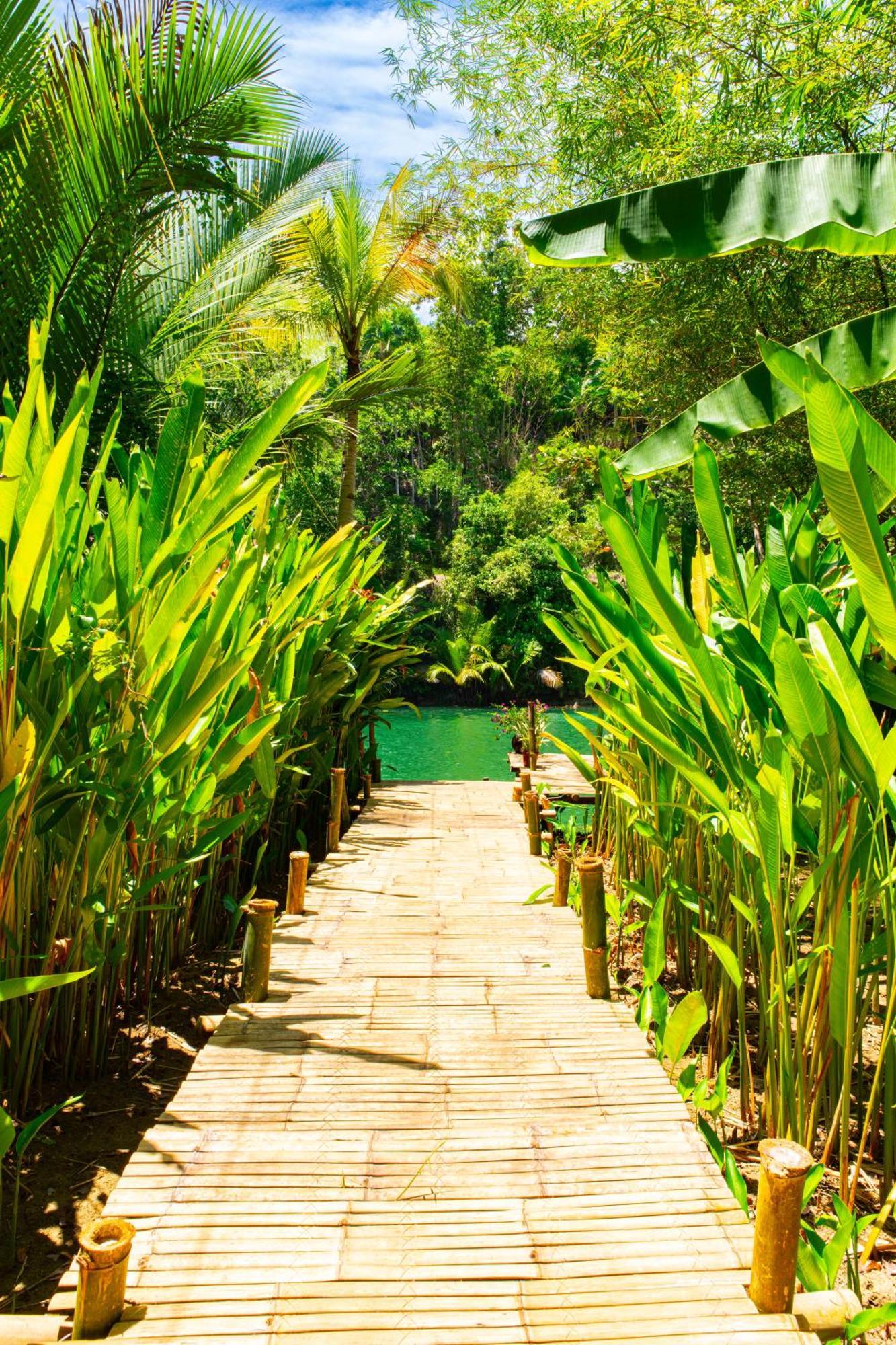 Water To Forest Ecolodge Loboc Ngoại thất bức ảnh