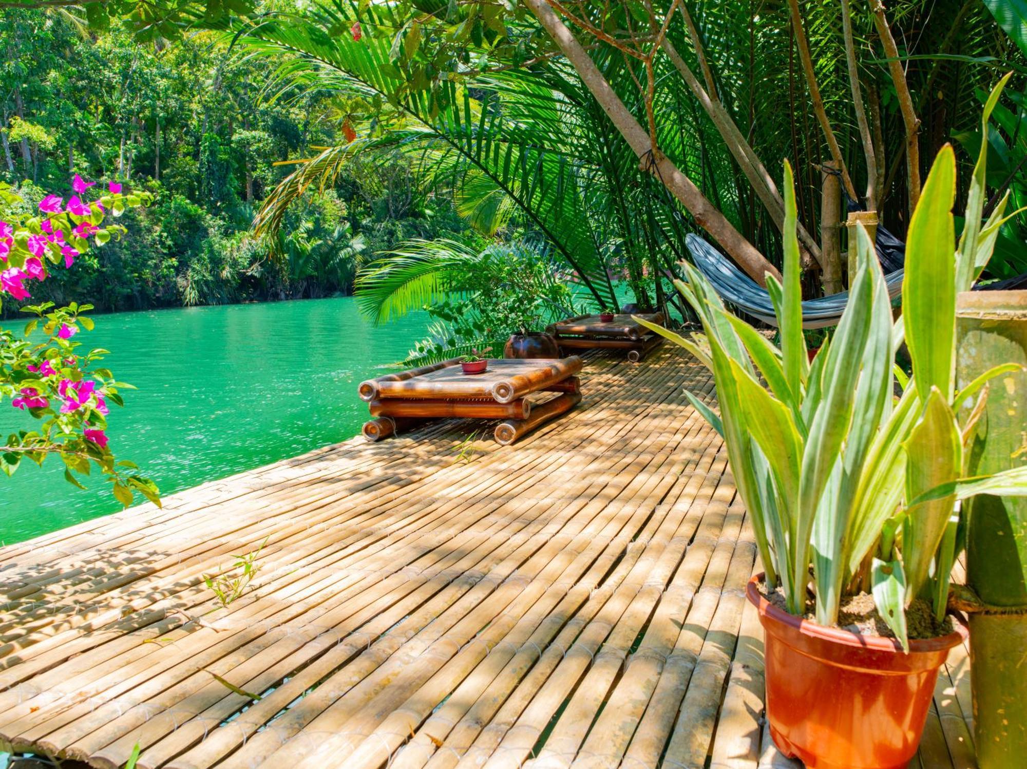 Water To Forest Ecolodge Loboc Ngoại thất bức ảnh