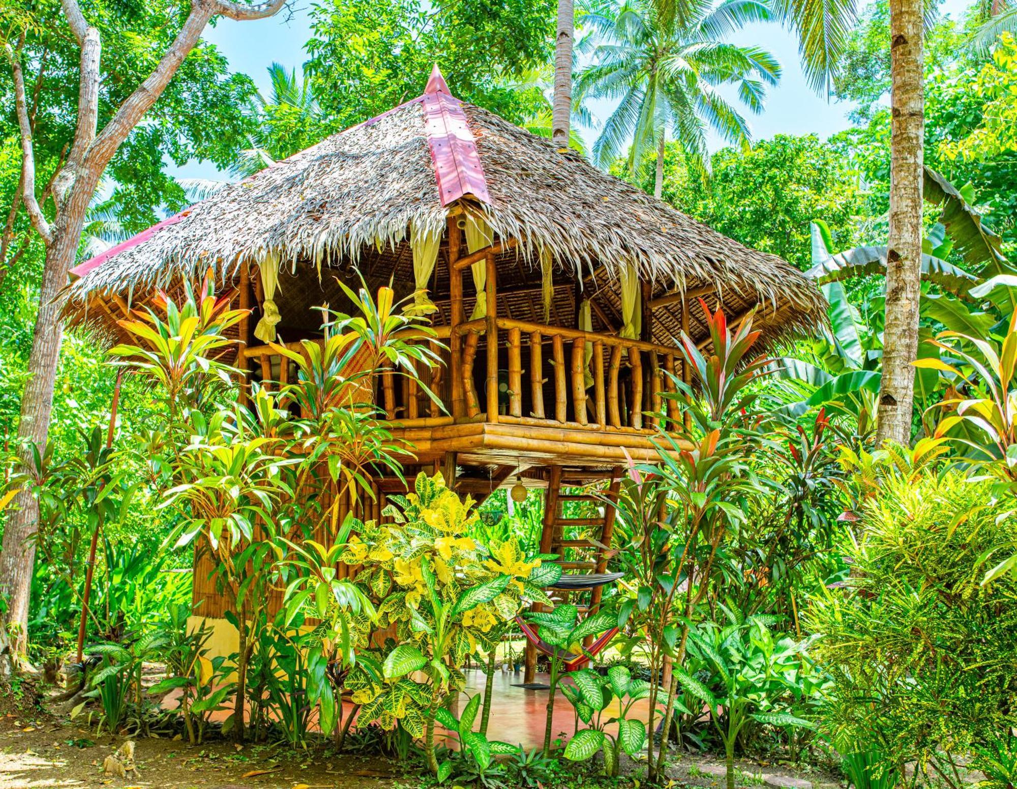 Water To Forest Ecolodge Loboc Ngoại thất bức ảnh