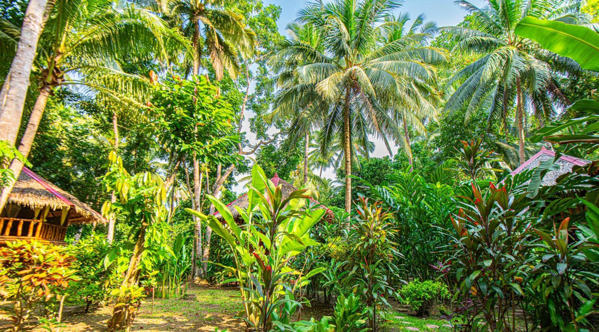 Water To Forest Ecolodge Loboc Ngoại thất bức ảnh