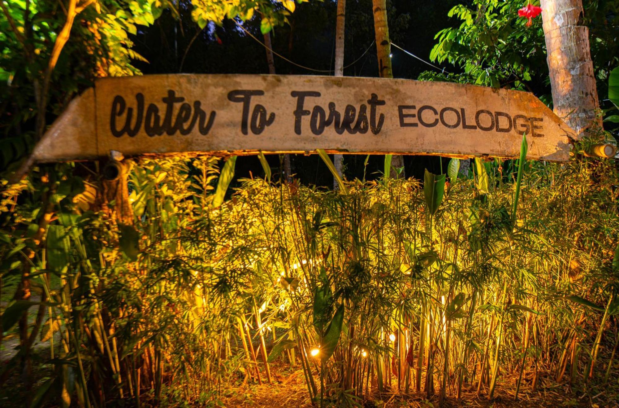 Water To Forest Ecolodge Loboc Ngoại thất bức ảnh