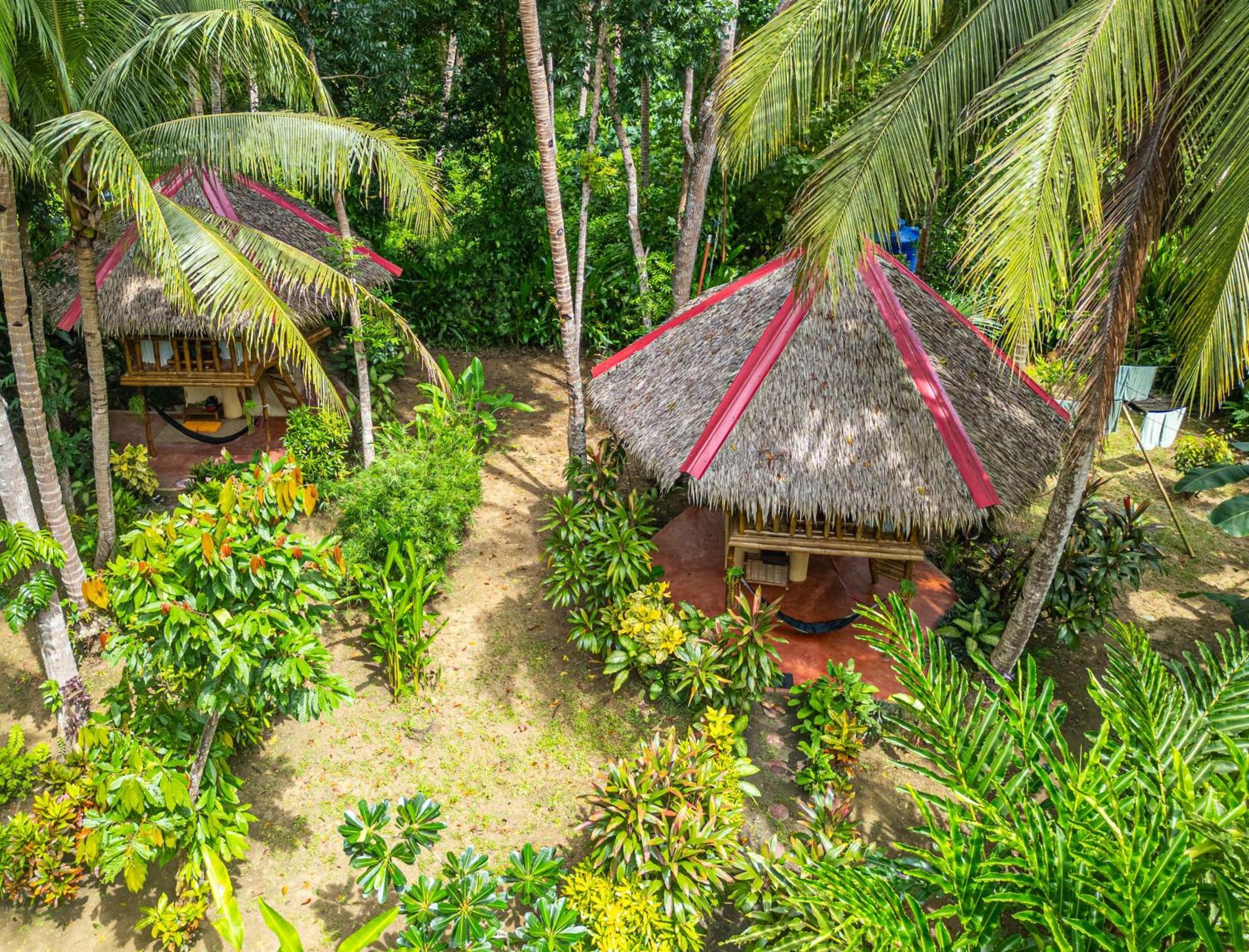 Water To Forest Ecolodge Loboc Ngoại thất bức ảnh