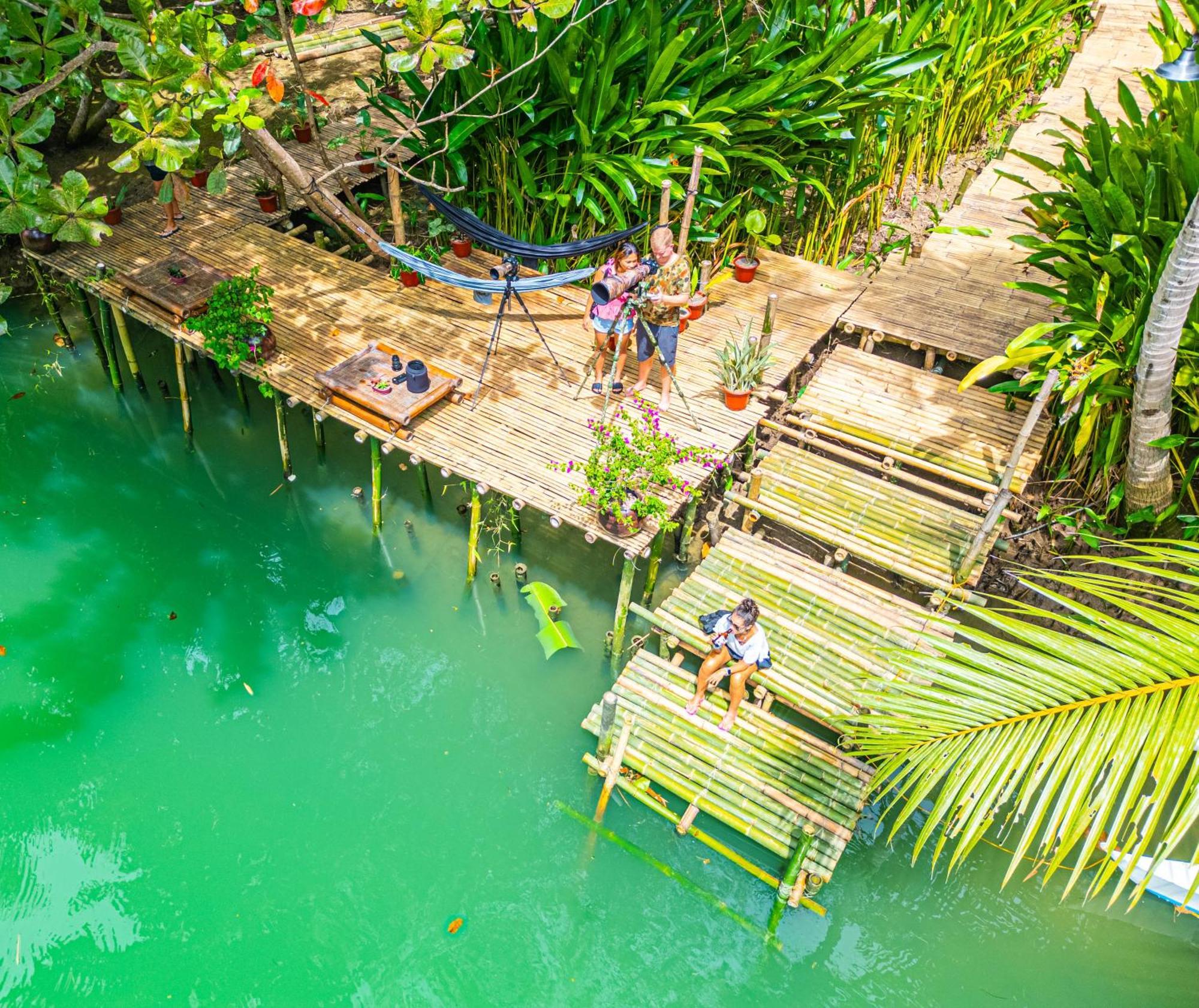 Water To Forest Ecolodge Loboc Ngoại thất bức ảnh