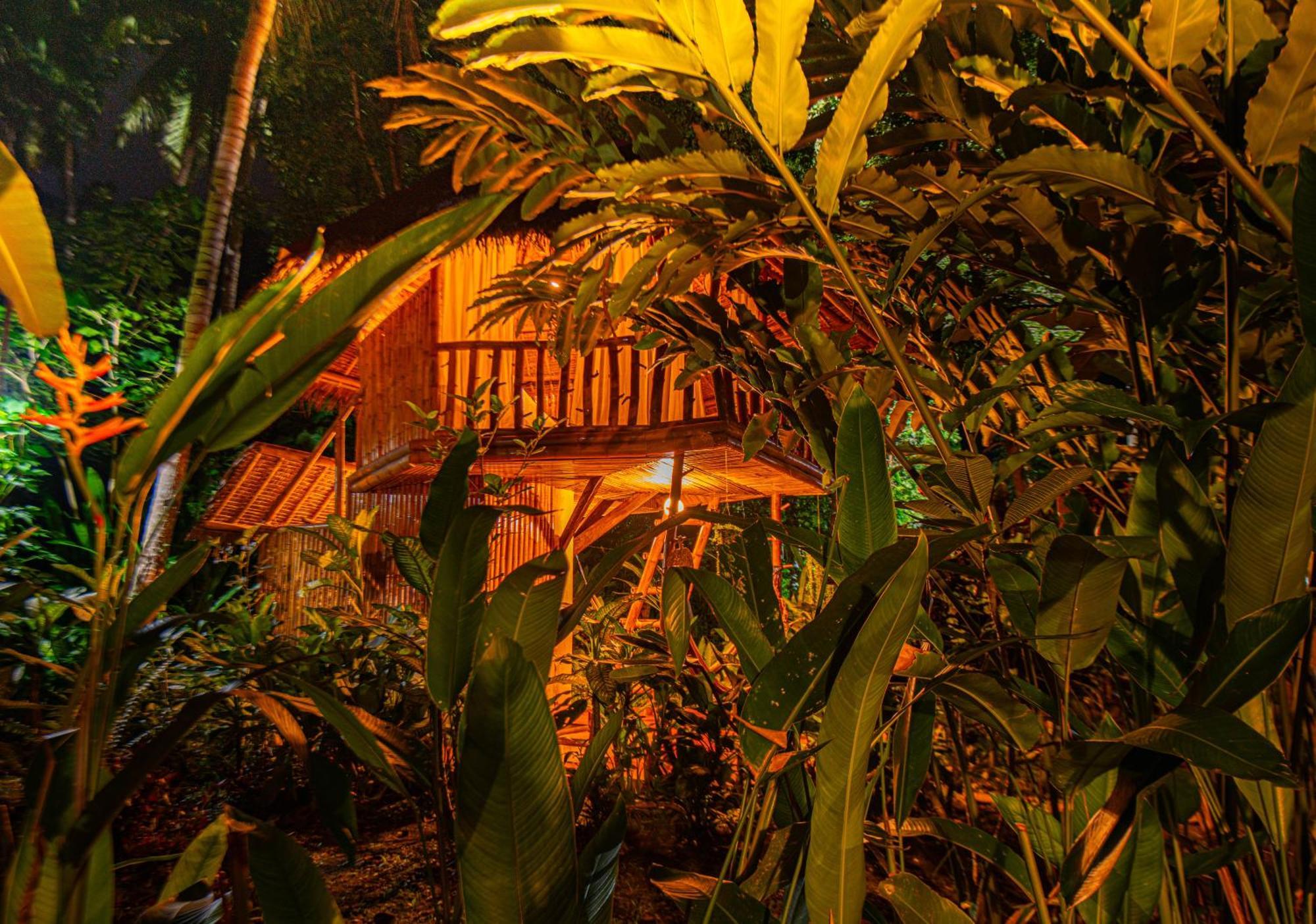 Water To Forest Ecolodge Loboc Ngoại thất bức ảnh