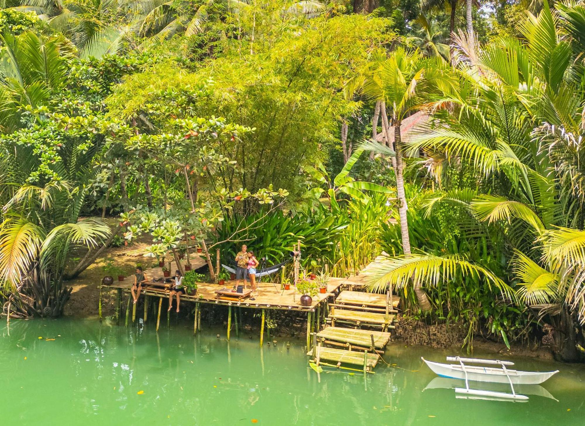 Water To Forest Ecolodge Loboc Ngoại thất bức ảnh