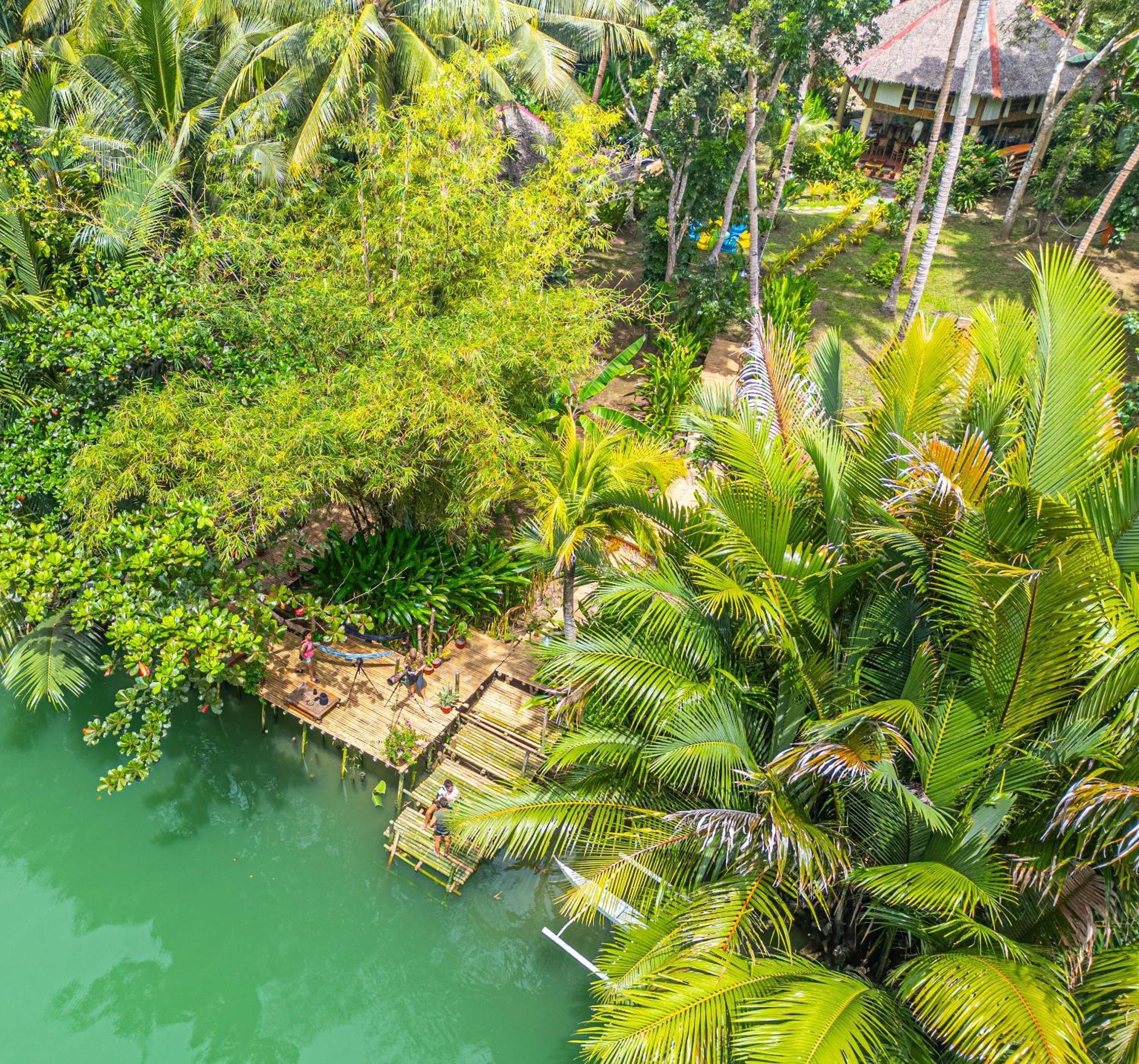 Water To Forest Ecolodge Loboc Ngoại thất bức ảnh