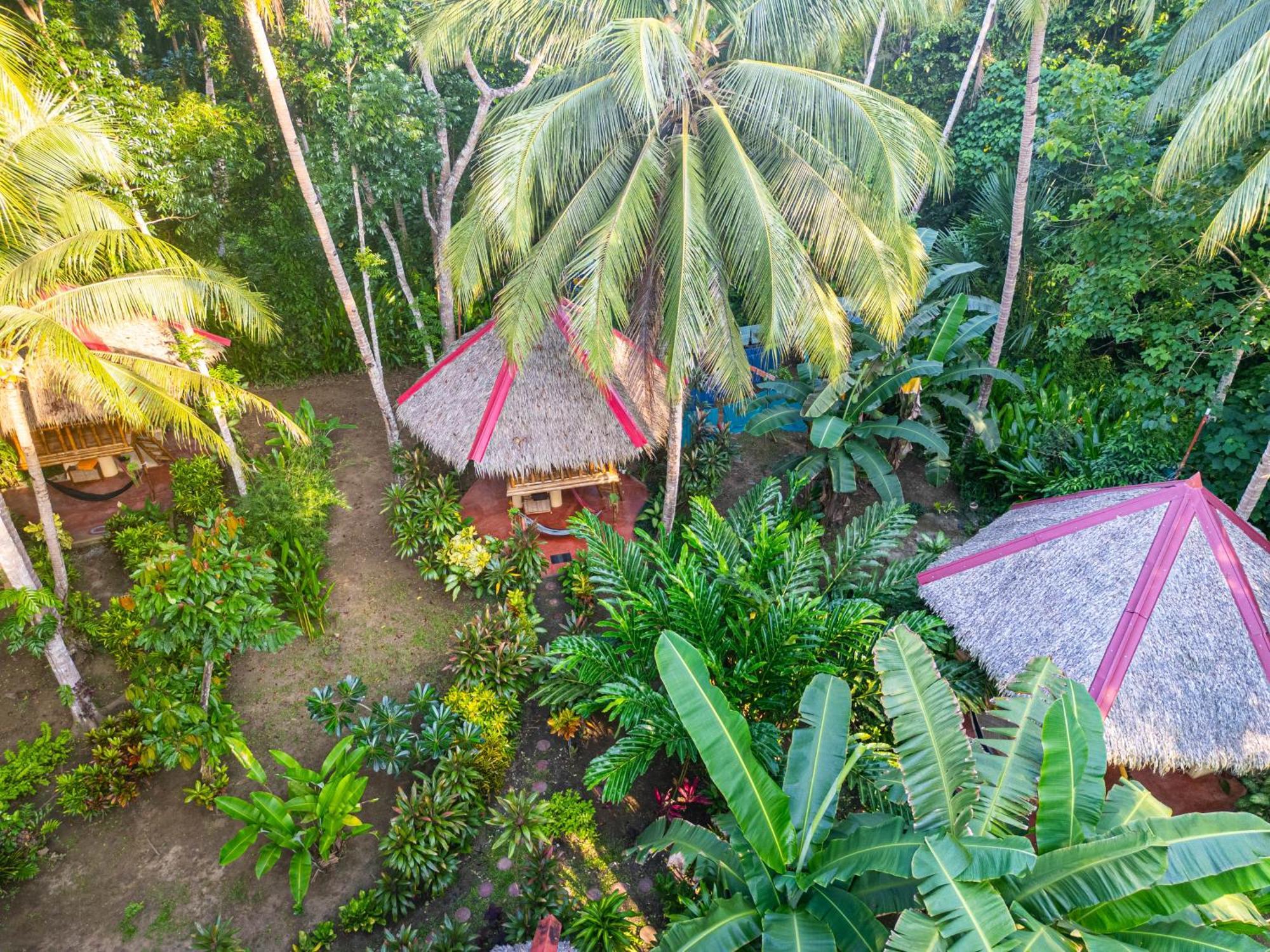 Water To Forest Ecolodge Loboc Ngoại thất bức ảnh