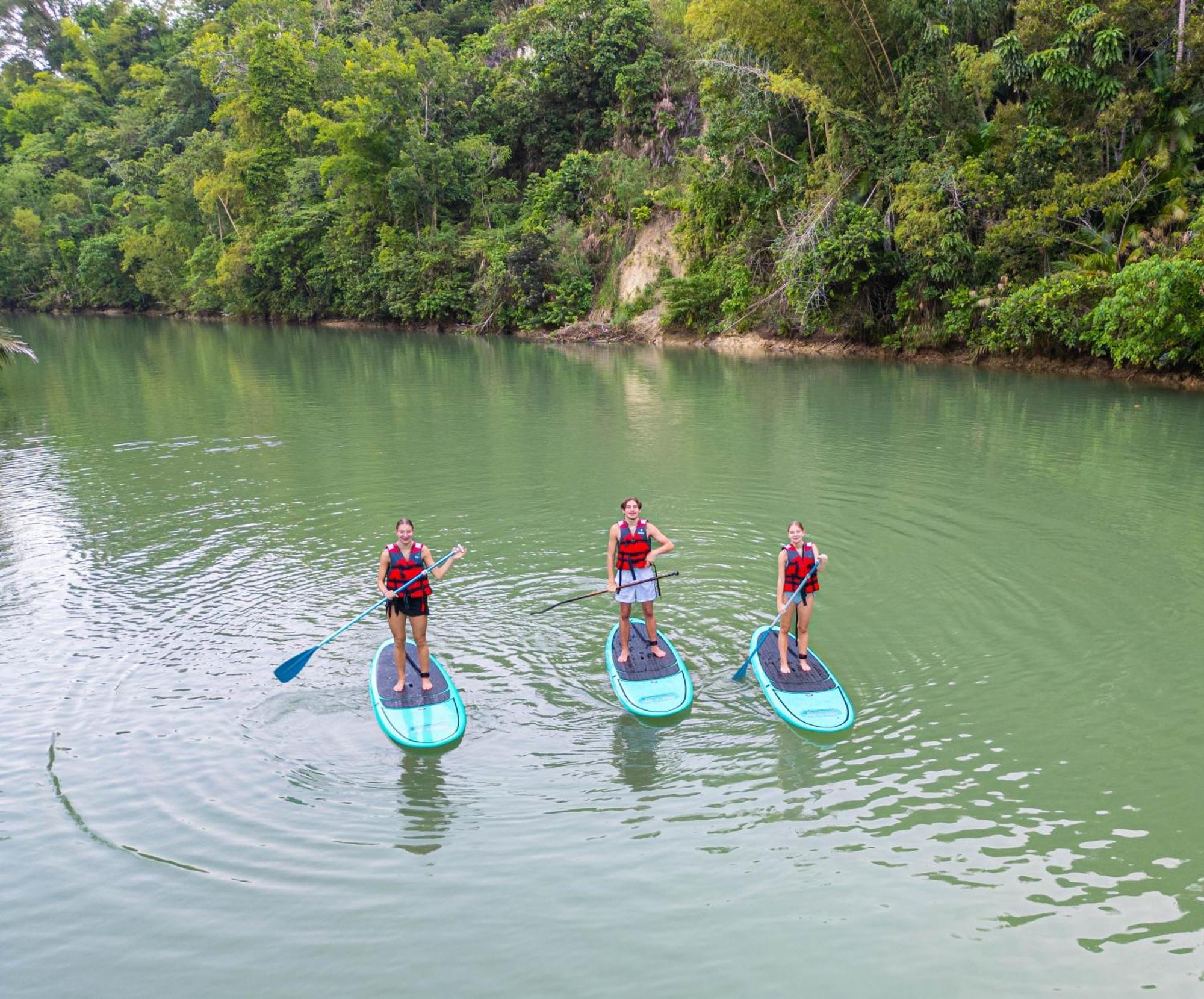 Water To Forest Ecolodge Loboc Ngoại thất bức ảnh