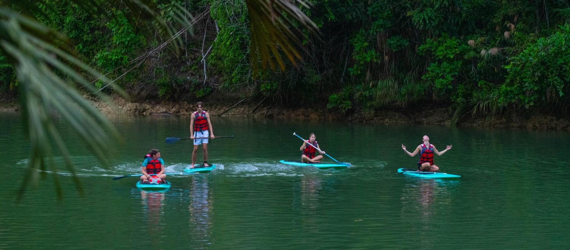 Water To Forest Ecolodge Loboc Ngoại thất bức ảnh