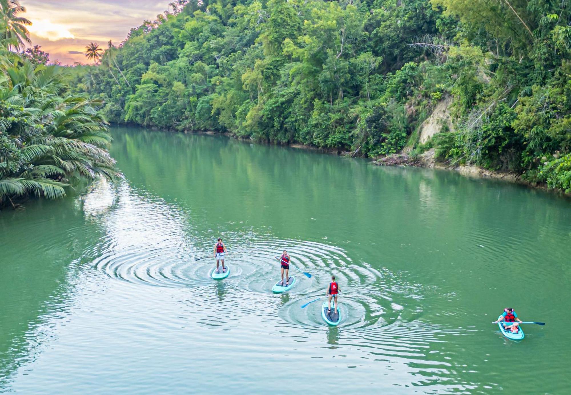 Water To Forest Ecolodge Loboc Ngoại thất bức ảnh