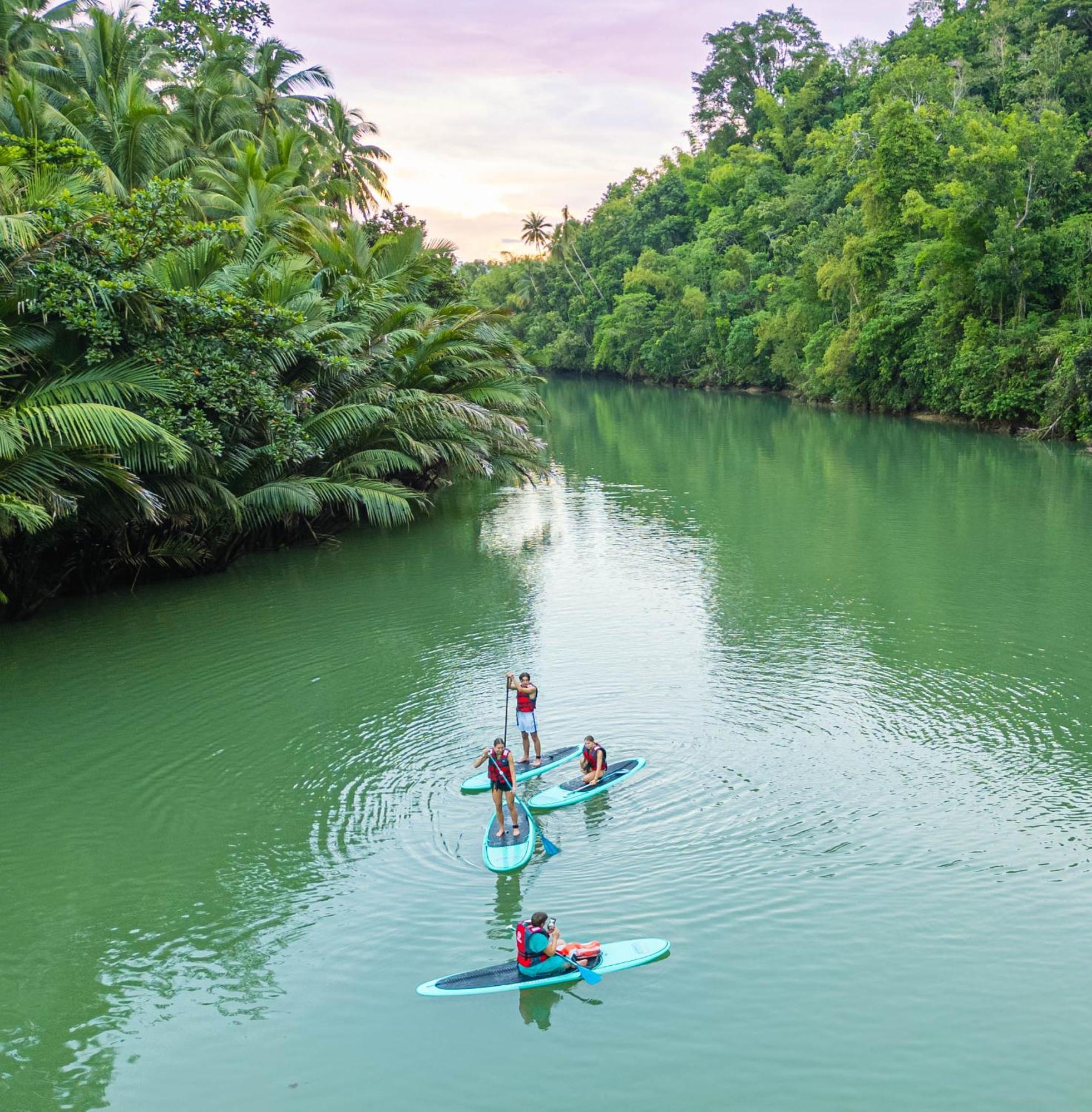 Water To Forest Ecolodge Loboc Ngoại thất bức ảnh