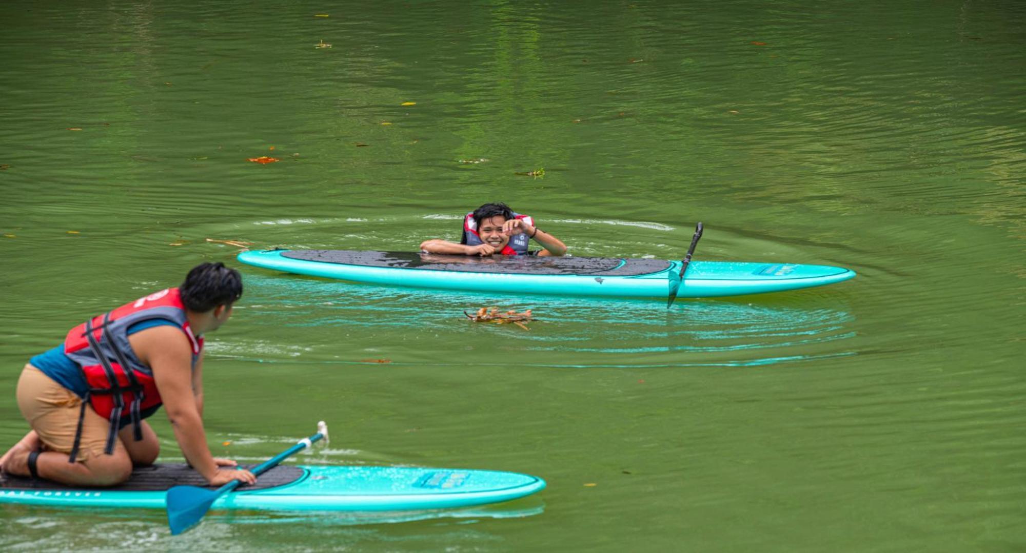 Water To Forest Ecolodge Loboc Ngoại thất bức ảnh