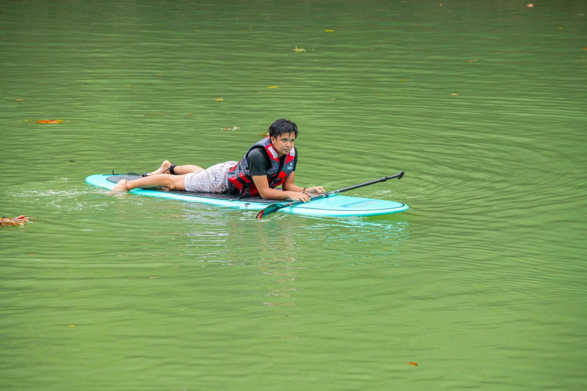 Water To Forest Ecolodge Loboc Ngoại thất bức ảnh